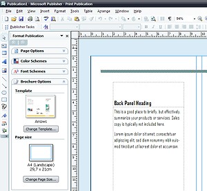 Ms-Access 2007 Accounting Templates